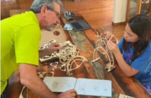 Page d’accueil puzzle en famille Page d’accueil - puzzle en famille
