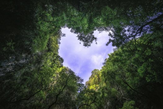 Heart-shaped-photography-sky-rain-forest-nature-background